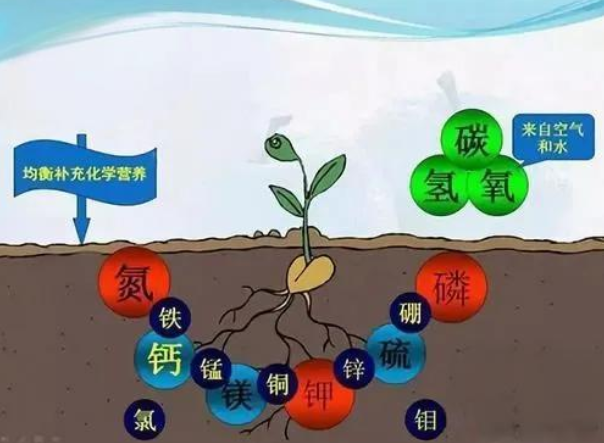 ?土壤氮磷鉀標準值是多少？讓我們一起探索！